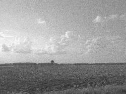 Uvikra : Patterns of Life